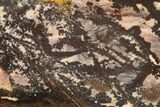 Polished Outback Jasper - Western Australia #137076-1